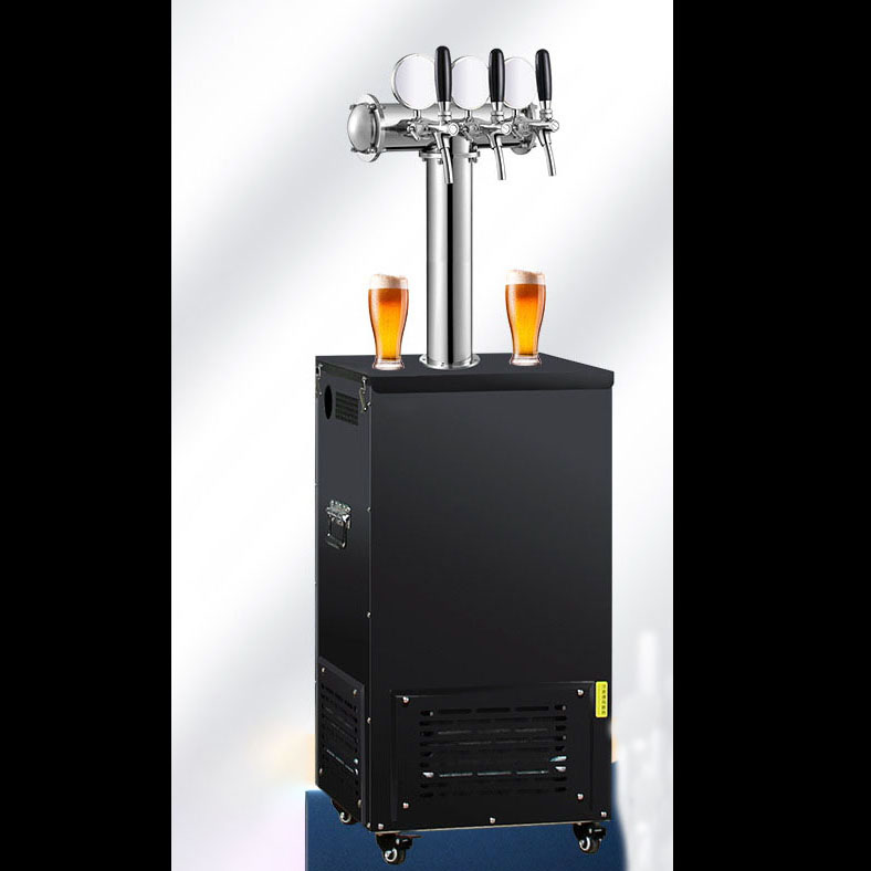 Amanti del vino Beer Kegrator  - Wine Draft Beer recensione e prezzo